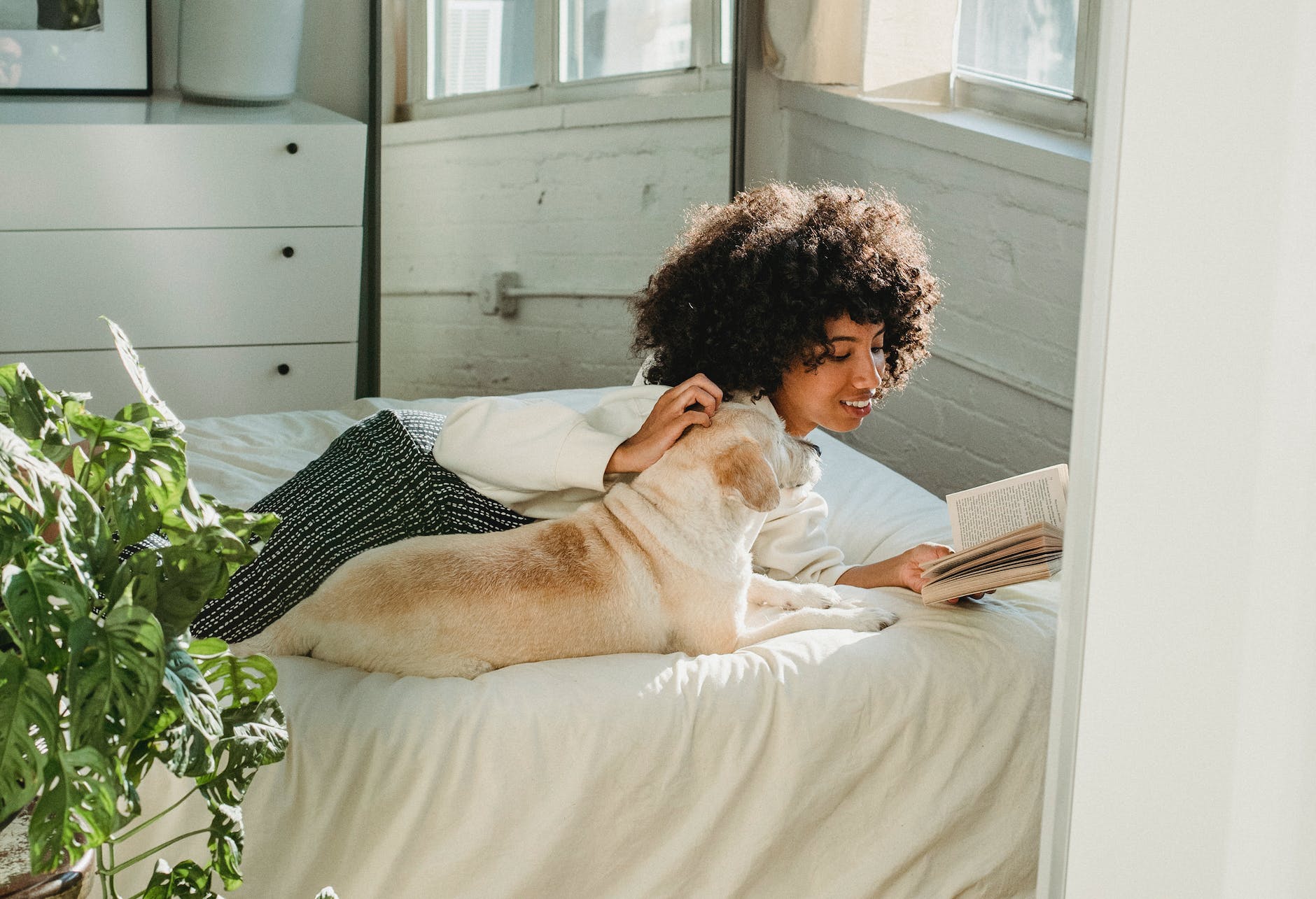 african american woman reading book while resting with dog