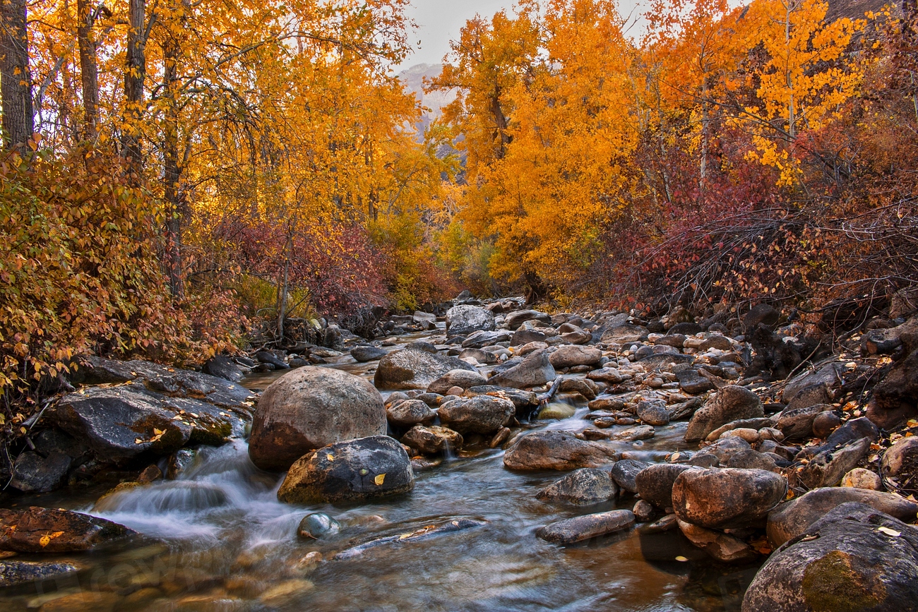 Fall colors in the Ruby