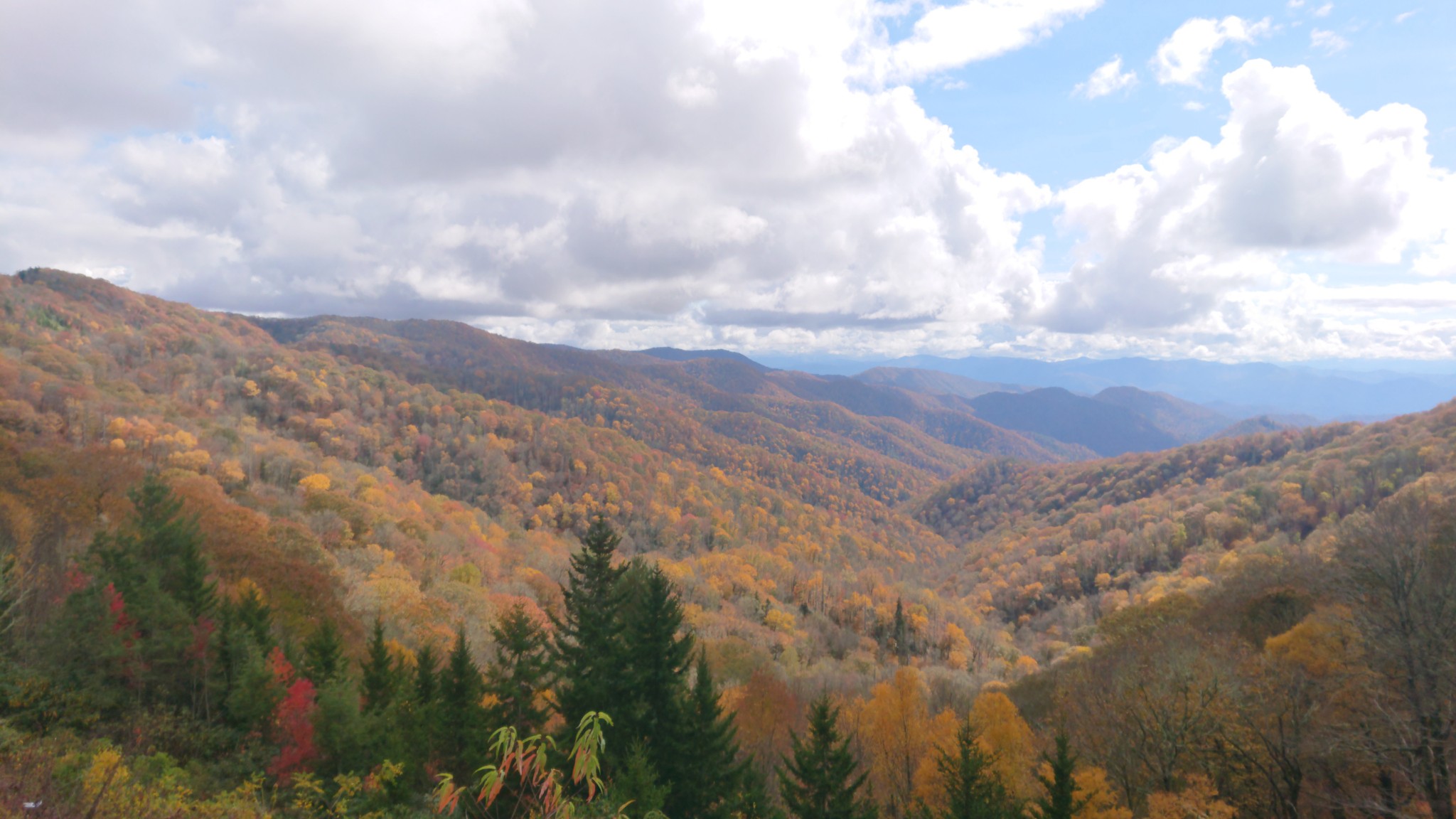 Smokey Mountains Review