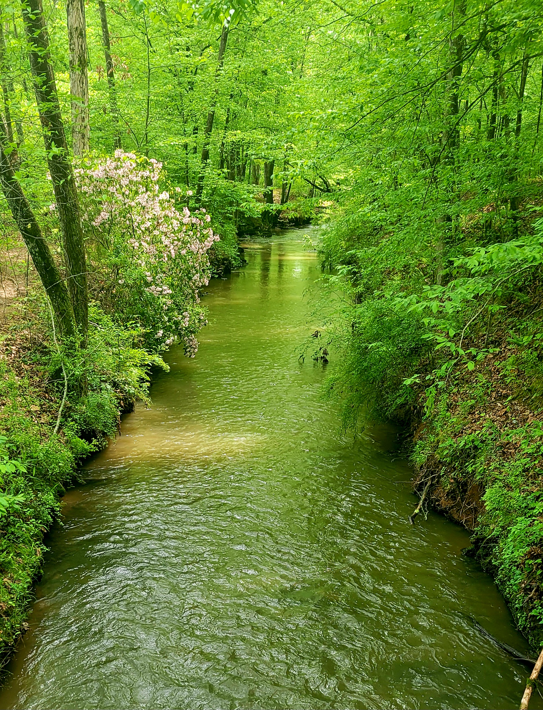 Sweetwater Creek